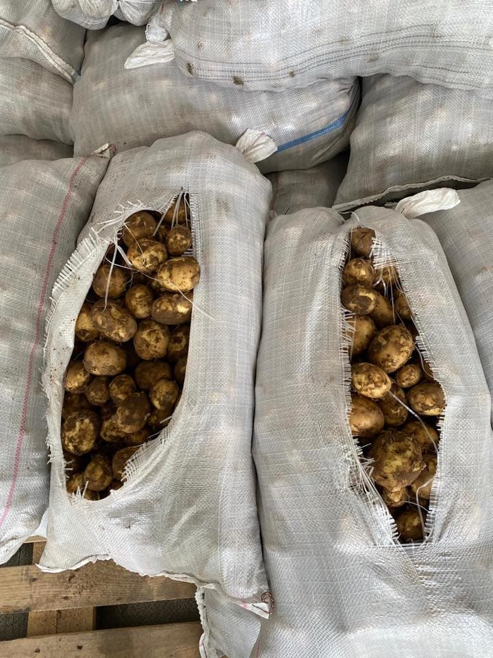 Potatoes - classic, versatile and always fresh 1