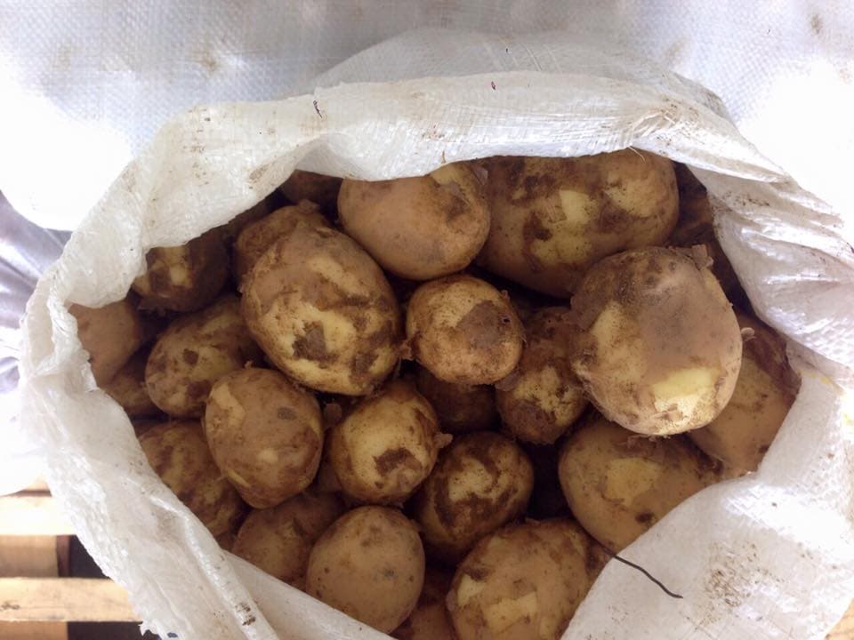 Potatoes - classic, versatile and always fresh 3