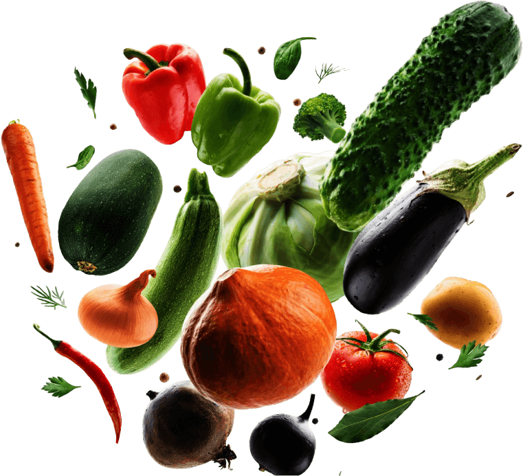 Fresh wholesale vegetables from Romanian farms - Premium quality produce for European businesses
