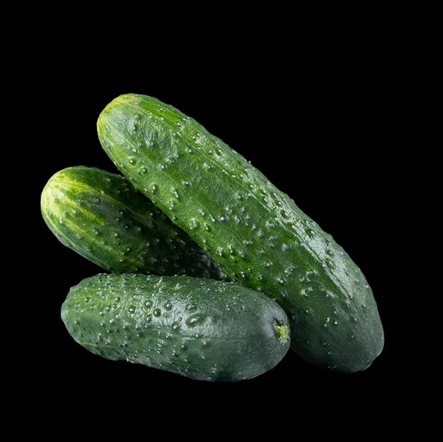 Castraveți cornichon en-gros din România – calitate premium pentru cumpărători B2B europeni